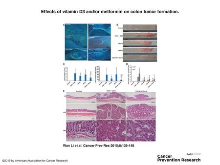 Effects of vitamin D3 and/or metformin on colon tumor formation.