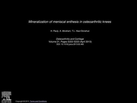 Mineralization of meniscal enthesis in osteoarthritic knees