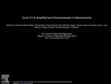 Cyclin E1 Is Amplified and Overexpressed in Osteosarcoma