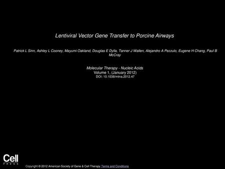 Lentiviral Vector Gene Transfer to Porcine Airways