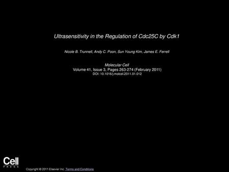 Ultrasensitivity in the Regulation of Cdc25C by Cdk1