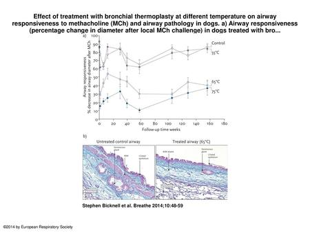 Effect of treatment with bronchial thermoplasty at different temperature on airway responsiveness to methacholine (MCh) and airway pathology in dogs. a)