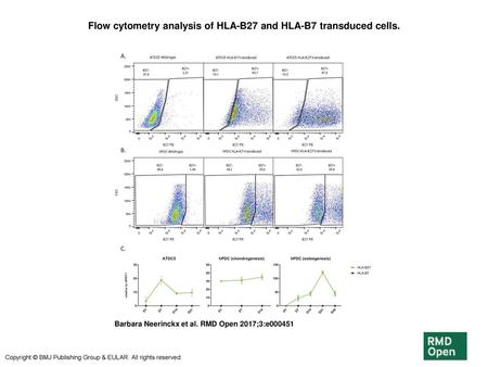 Flow cytometry analysis of HLA-B27 and HLA-B7 transduced cells.