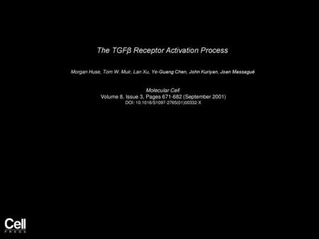 The TGFβ Receptor Activation Process