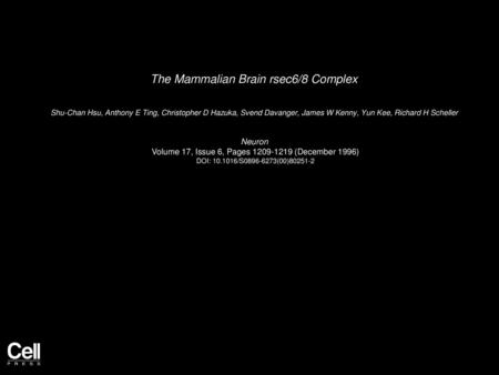 The Mammalian Brain rsec6/8 Complex