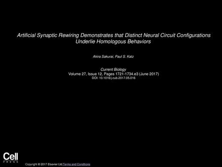 Artificial Synaptic Rewiring Demonstrates that Distinct Neural Circuit Configurations Underlie Homologous Behaviors  Akira Sakurai, Paul S. Katz  Current.