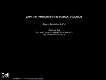 Stem Cell Heterogeneity and Plasticity in Epithelia