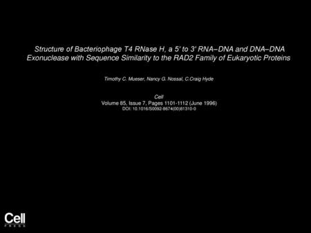 Structure of Bacteriophage T4 RNase H, a 5′ to 3′ RNA–DNA and DNA–DNA Exonuclease with Sequence Similarity to the RAD2 Family of Eukaryotic Proteins 