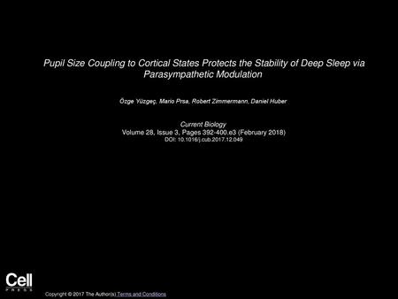 Pupil Size Coupling to Cortical States Protects the Stability of Deep Sleep via Parasympathetic Modulation  Özge Yüzgeç, Mario Prsa, Robert Zimmermann,