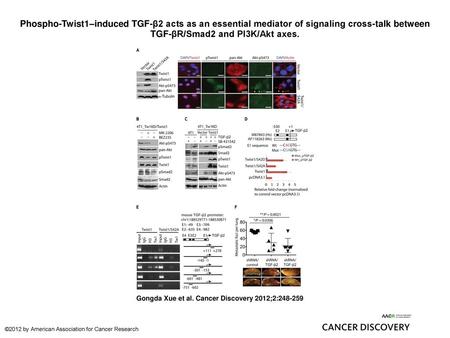 Phospho-Twist1–induced TGF-β2 acts as an essential mediator of signaling cross-talk between TGF-βR/Smad2 and PI3K/Akt axes. Phospho-Twist1–induced TGF-β2.