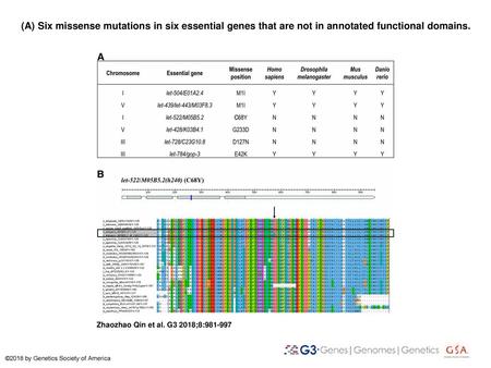 (A) Six missense mutations in six essential genes that are not in annotated functional domains. (A) Six missense mutations in six essential genes that.