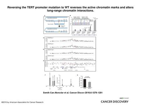 Reversing the TERT promoter mutation to WT reverses the active chromatin marks and alters long-range chromatin interactions. Reversing the TERT promoter.
