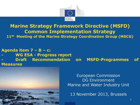 Marine Strategy Framework Directive (MSFD)