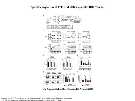 Specific depletion of TFH and LCMV-specific CD4 T cells.