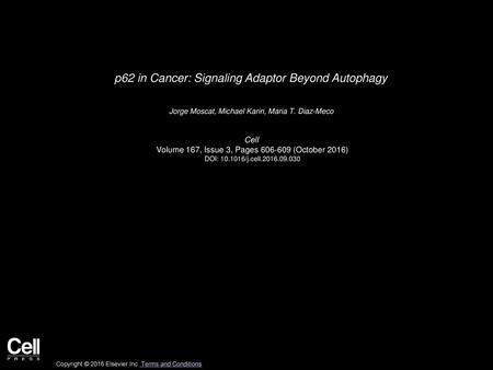 p62 in Cancer: Signaling Adaptor Beyond Autophagy