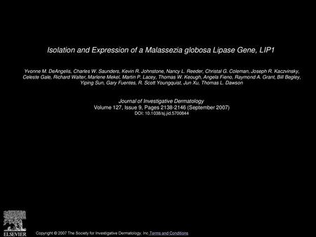 Isolation and Expression of a Malassezia globosa Lipase Gene, LIP1