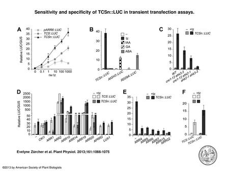 Sensitivity and specificity of TCSn::LUC in transient transfection assays. Sensitivity and specificity of TCSn::LUC in transient transfection assays. A,