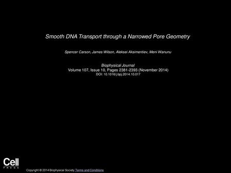 Smooth DNA Transport through a Narrowed Pore Geometry
