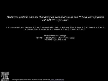 Glutamine protects articular chondrocytes from heat stress and NO-induced apoptosis with HSP70 expression  H. Tonomura, M.D., K.A. Takahashi, M.D., Ph.D.,