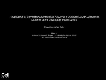 Relationship of Correlated Spontaneous Activity to Functional Ocular Dominance Columns in the Developing Visual Cortex  Chiayu Chiu, Michael Weliky  Neuron 