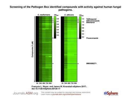 Screening of the Pathogen Box identified compounds with activity against human fungal pathogens. Screening of the Pathogen Box identified compounds with.