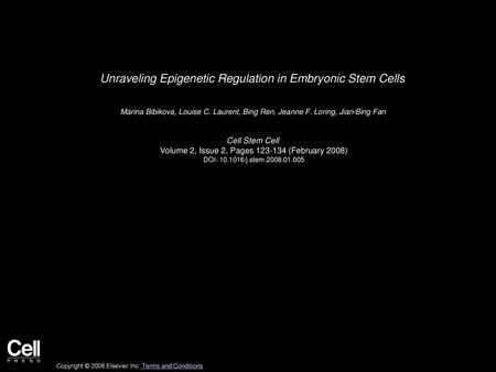 Unraveling Epigenetic Regulation in Embryonic Stem Cells