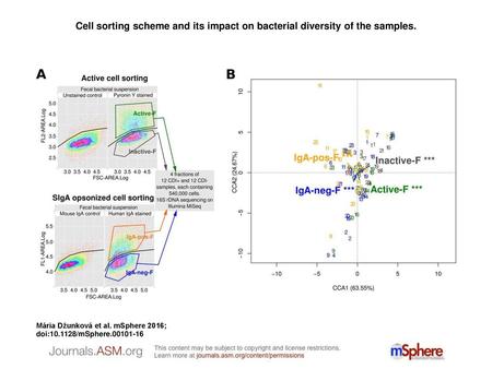 Cell sorting scheme and its impact on bacterial diversity of the samples. Cell sorting scheme and its impact on bacterial diversity of the samples. (A)