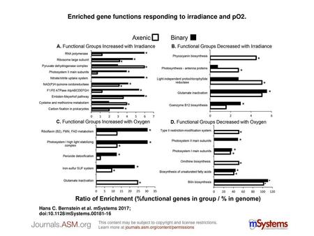 Enriched gene functions responding to irradiance and pO2.