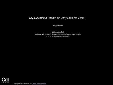 DNA Mismatch Repair: Dr. Jekyll and Mr. Hyde?