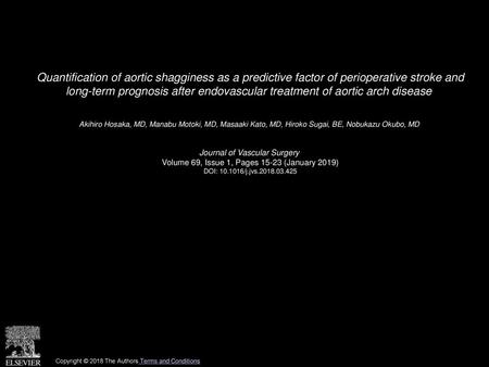 Quantification of aortic shagginess as a predictive factor of perioperative stroke and long-term prognosis after endovascular treatment of aortic arch.