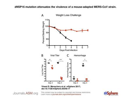 DNSP16 mutation attenuates the virulence of a mouse-adapted MERS-CoV strain. dNSP16 mutation attenuates the virulence of a mouse-adapted MERS-CoV strain.