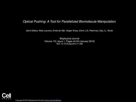 Optical Pushing: A Tool for Parallelized Biomolecule Manipulation