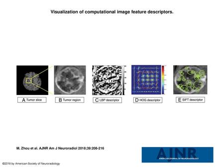 Visualization of computational image feature descriptors.