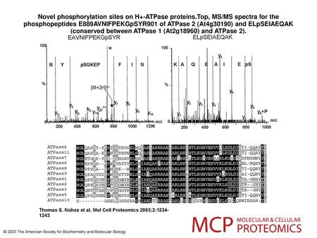 Novel phosphorylation sites on H+-ATPase proteins