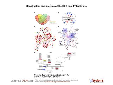 Construction and analysis of the HEV-host PPI network.