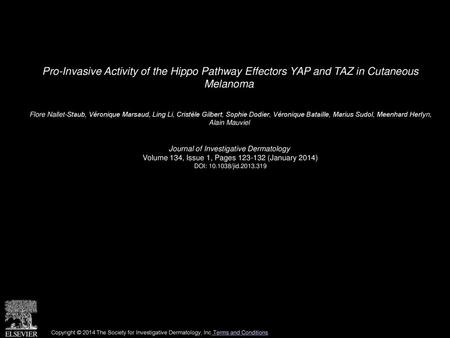 Pro-Invasive Activity of the Hippo Pathway Effectors YAP and TAZ in Cutaneous Melanoma  Flore Nallet-Staub, Véronique Marsaud, Ling Li, Cristèle Gilbert,