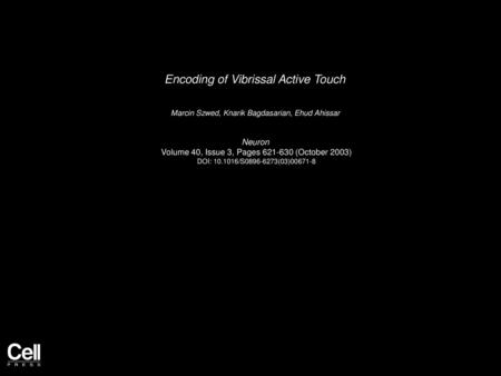 Encoding of Vibrissal Active Touch
