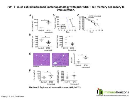 Prf1−/− mice exhibit increased immunopathology with prior CD8 T cell memory secondary to immunization. Prf1−/− mice exhibit increased immunopathology with.