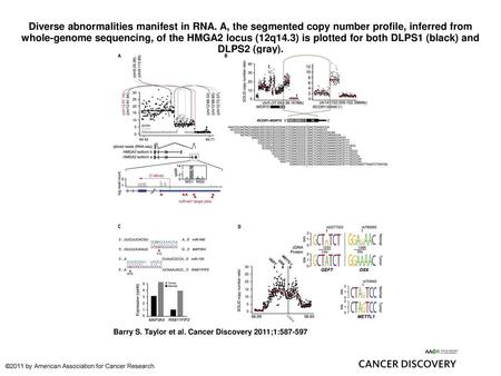 Diverse abnormalities manifest in RNA