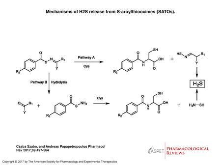 Mechanisms of H2S release from S-aroylthiooximes (SATOs).