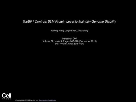 TopBP1 Controls BLM Protein Level to Maintain Genome Stability