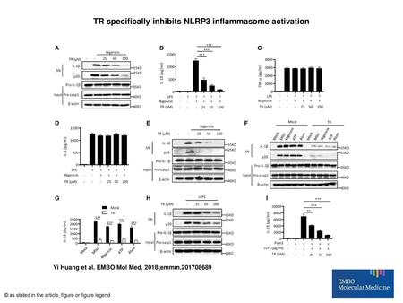 TR specifically inhibits NLRP3 inflammasome activation
