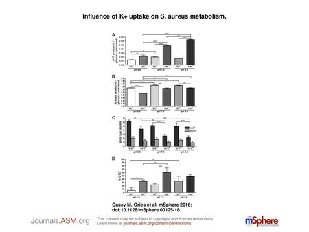 Influence of K+ uptake on S. aureus metabolism.