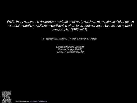 Preliminary study: non destructive evaluation of early cartilage morphological changes in a rabbit model by equilibrium partitioning of an ionic contrast.
