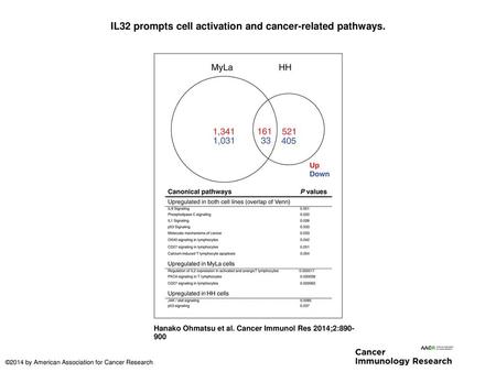 IL32 prompts cell activation and cancer-related pathways.