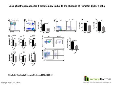Loss of pathogen-specific T cell memory is due to the absence of Runx2 in CD8+ T cells. Loss of pathogen-specific T cell memory is due to the absence of.