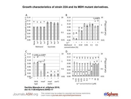 Growth characteristics of strain 22A and its MDH mutant derivatives.