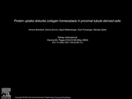 Protein uptake disturbs collagen homeostasis in proximal tubule-derived cells  Verena Wohlfarth, Karina Drumm, Sigrid Mildenberger, Ruth Freudinger, Michael.