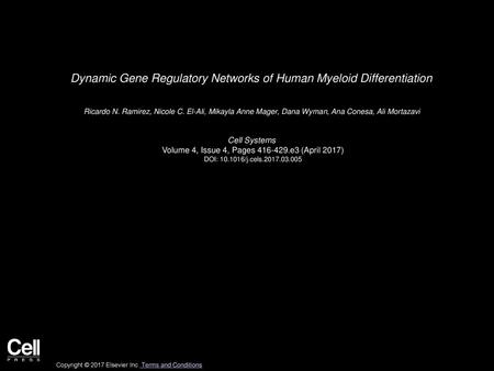 Dynamic Gene Regulatory Networks of Human Myeloid Differentiation