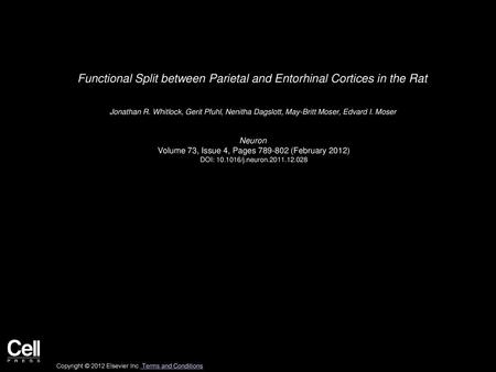 Functional Split between Parietal and Entorhinal Cortices in the Rat